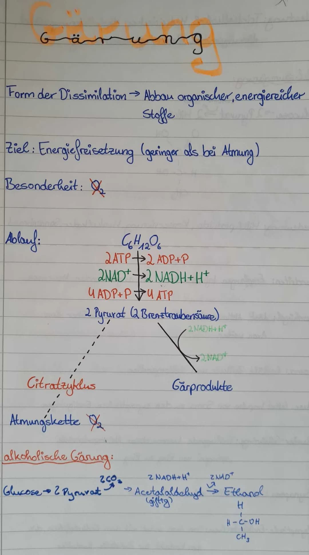 Gärung
Form der Dissimilation → Abbau organischer, energiereicher
Stoffe
Ziel: Energiefreisetzung (geringer als bei Almung)
Besonderheit:
Ab
