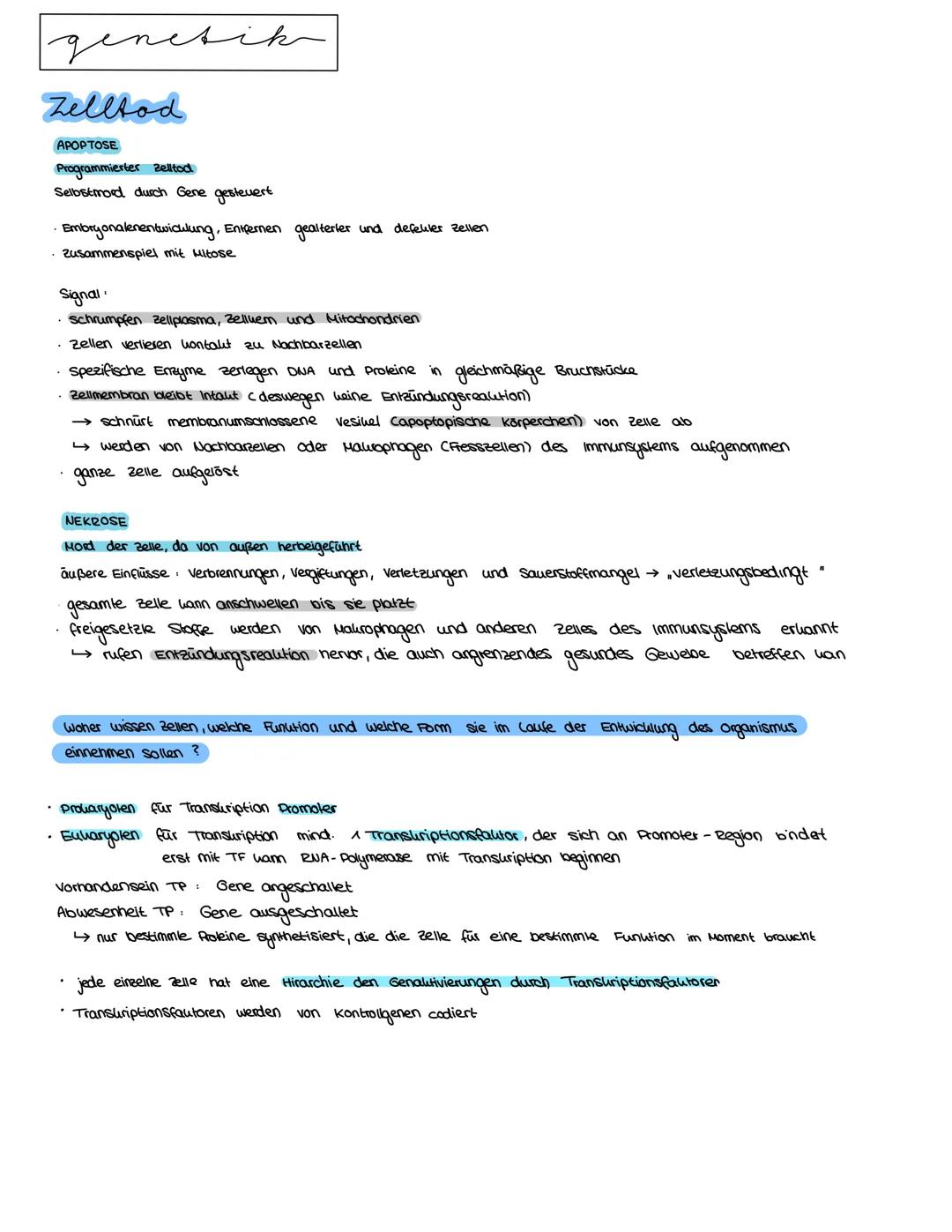 Semester 3
X
genetik genetik RNA, DNA, CHROMOSOMEN
DNA coesoxyribonucleinacid)
Träger der Erbinformation, Strickleifermodell DNA-Doppelhelix