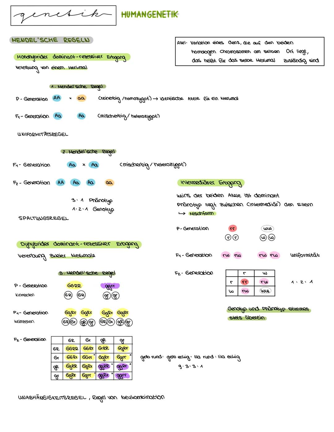 Semester 3
X
genetik genetik RNA, DNA, CHROMOSOMEN
DNA coesoxyribonucleinacid)
Träger der Erbinformation, Strickleifermodell DNA-Doppelhelix