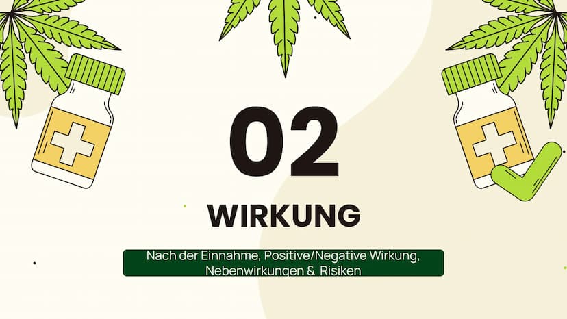 ●
m
Cannabis
... Folgen und Wirkung...
m Allgemeines
Aufbau, Inhaltsstoffe,
Konsumform
Suchtpotenzial
Folgen
Kurzzeitfolgen,
Langzeitfolgen
