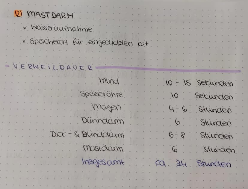 (2) MAST DARM.
x Wasseraufnahme.
*. Speicheront für eingedickten kot
VERWEILDAUER
mund
Speiseröhre
magen
Dünndamm
Dick- & Bunddarm
mastdarm
