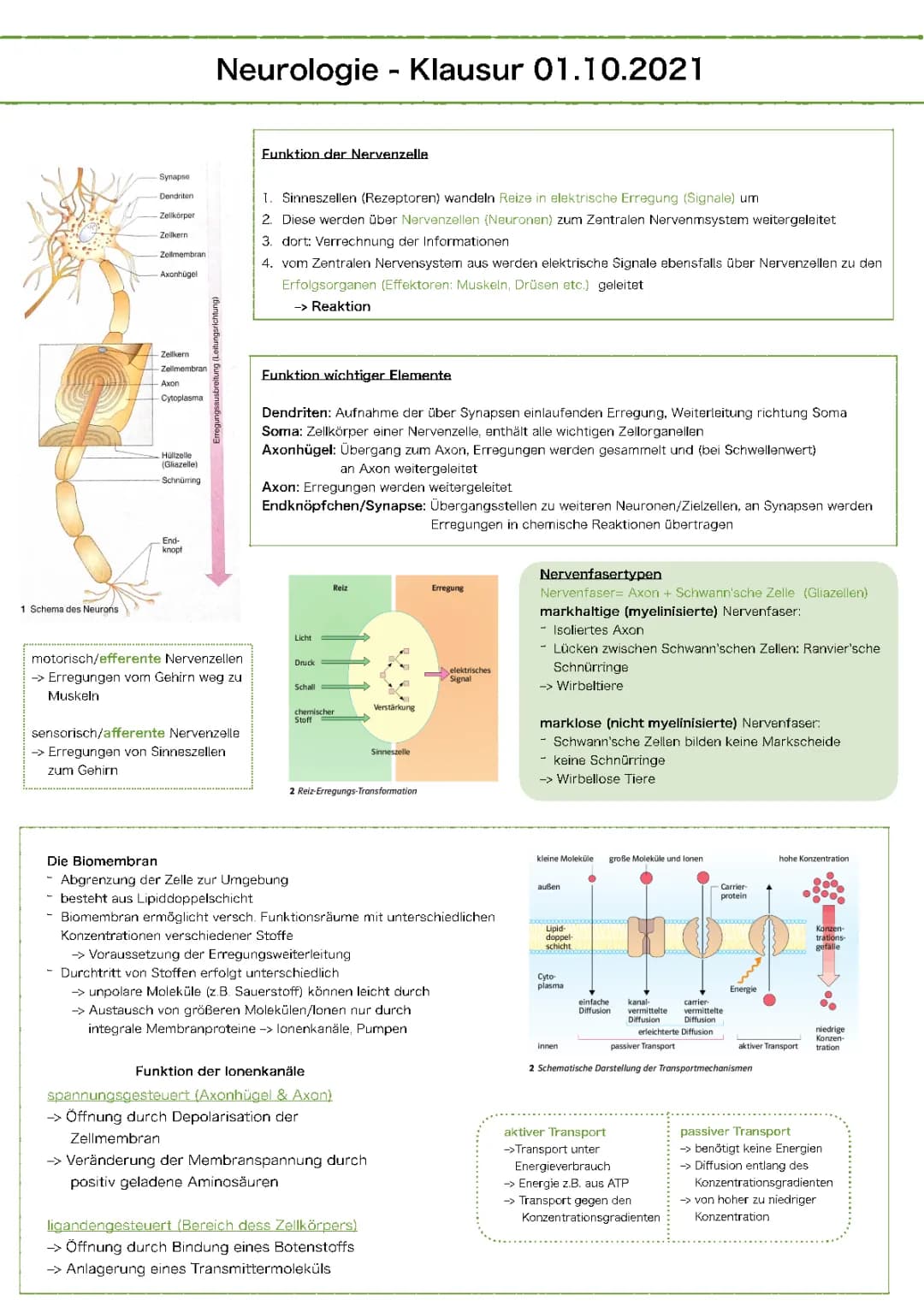 Neurologie