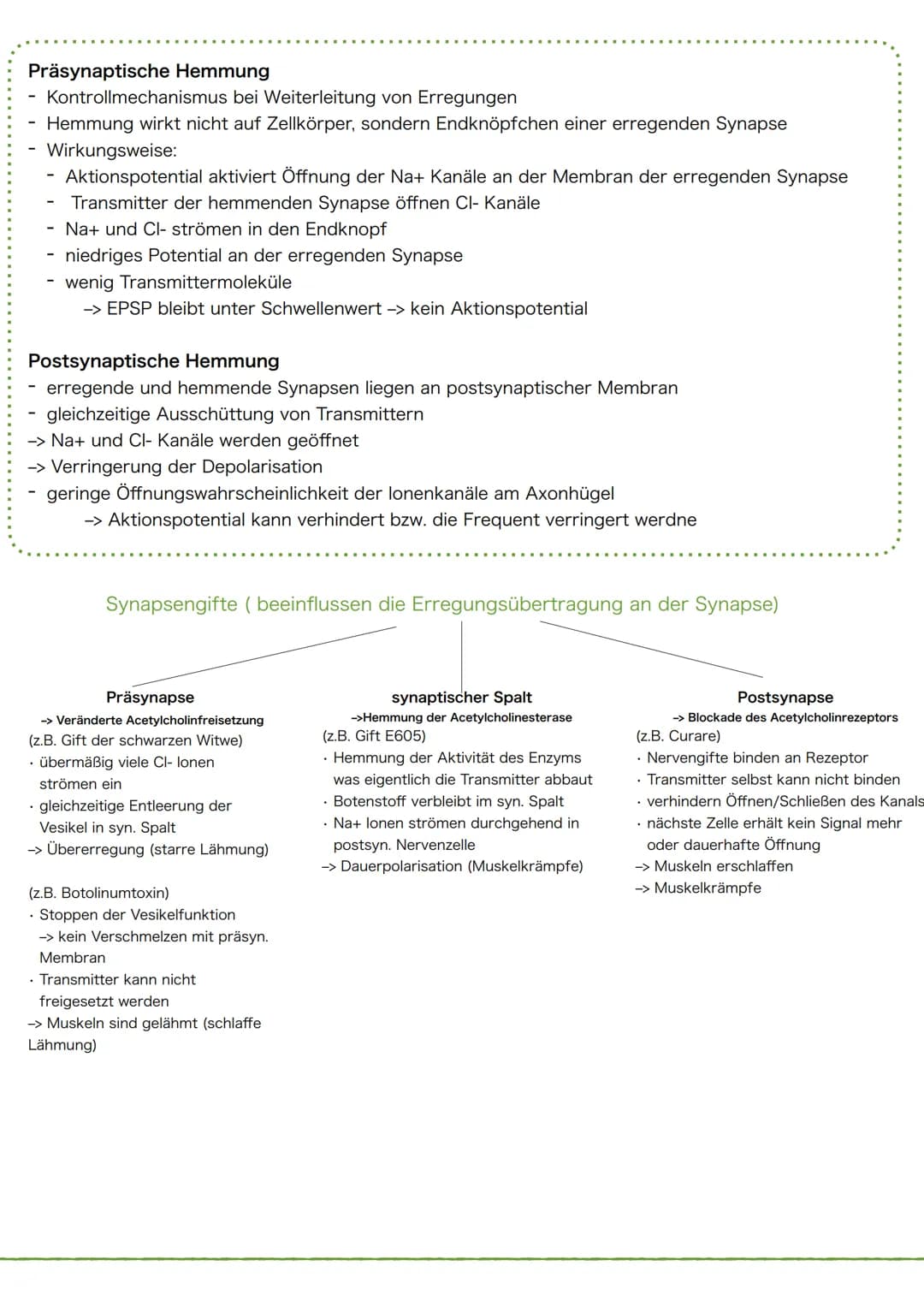 1 Schema des Neurons
Synapse
Dendriten
Zellkörper
Zellkern
Zellmembran
Axonhügel
Zellkern
Zellmembran
Axon
Cytoplasma
Hüllzelle
(Gliazelle)
