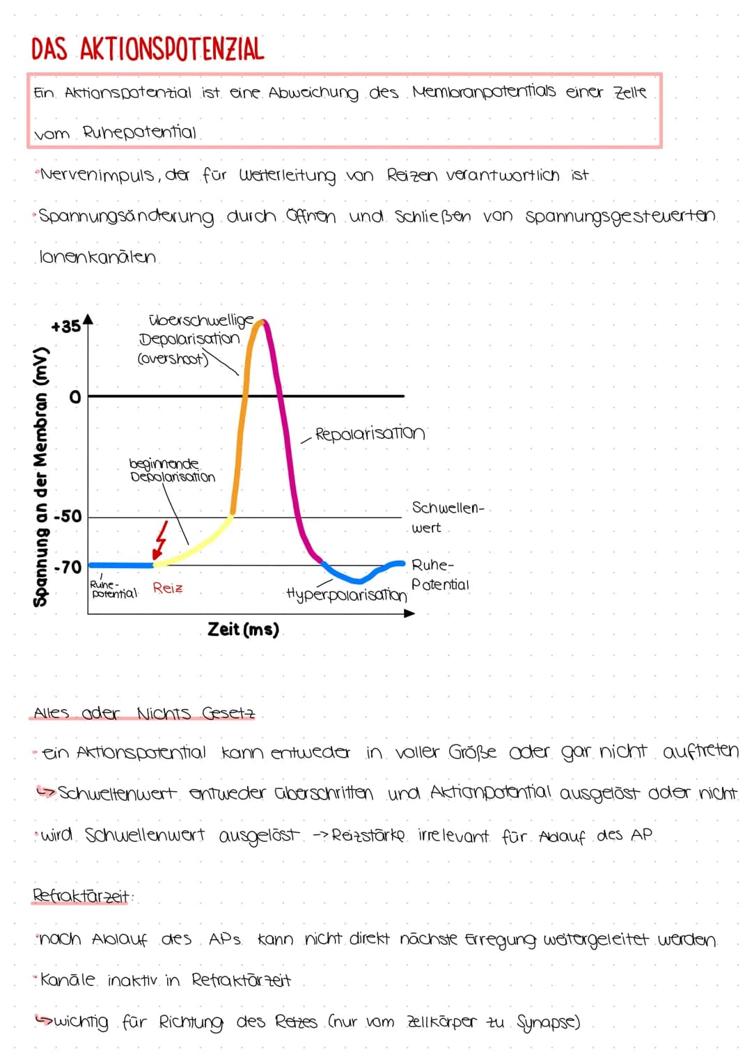 DAS AKTIONSPOTENZIAL
Ein Aktionspotenzial ist eine Abweichung des Membranpotentials einer Zelle
vom Ruhepotential
Nervenimpuls, der für weit