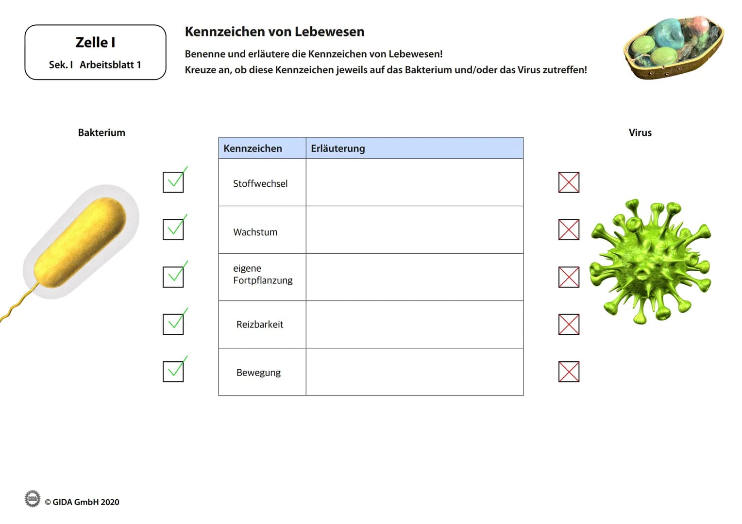 Zelle I
Arbeitsblätter
(Schülerversion)
GIDA
O GIDA GmbH 2020 Zelle I
Sek. I Arbeitsblatt 1
Bakterium
Ⓒ GIDA GmbH 2020
Kennzeichen von Lebew
