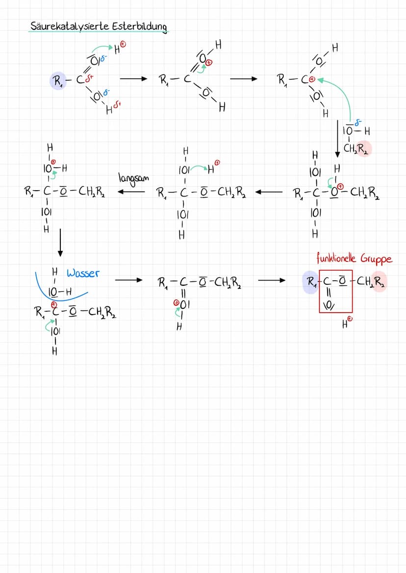 Stoffgruppen
Alkan H
1
R-C-R
1
H
Alkanol
H
R-C-0-H
H
Halbacetal
H
1
101
T
R-C-0-R
H
Ether
R₁-O-R₂
funktionelle Gruppen
Hydroxy
-Q-H
Carboxyl