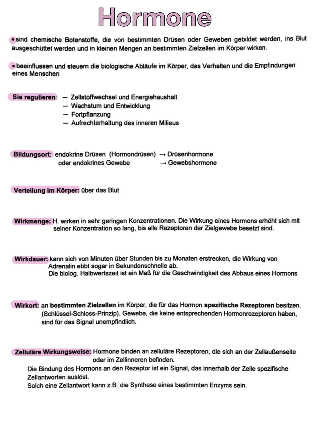 STIRNLAPPEN
→Planvolles denken, Entscheiden
→ zielger
ntetes Verhalten
elgerichte
→ Gedächnis
MITTELHIRN
→ Durchgangsstation Rücken-
mark-Ge