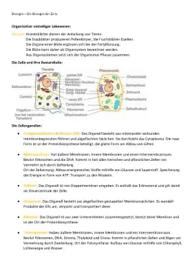 Know Die Biologie der Zelle thumbnail