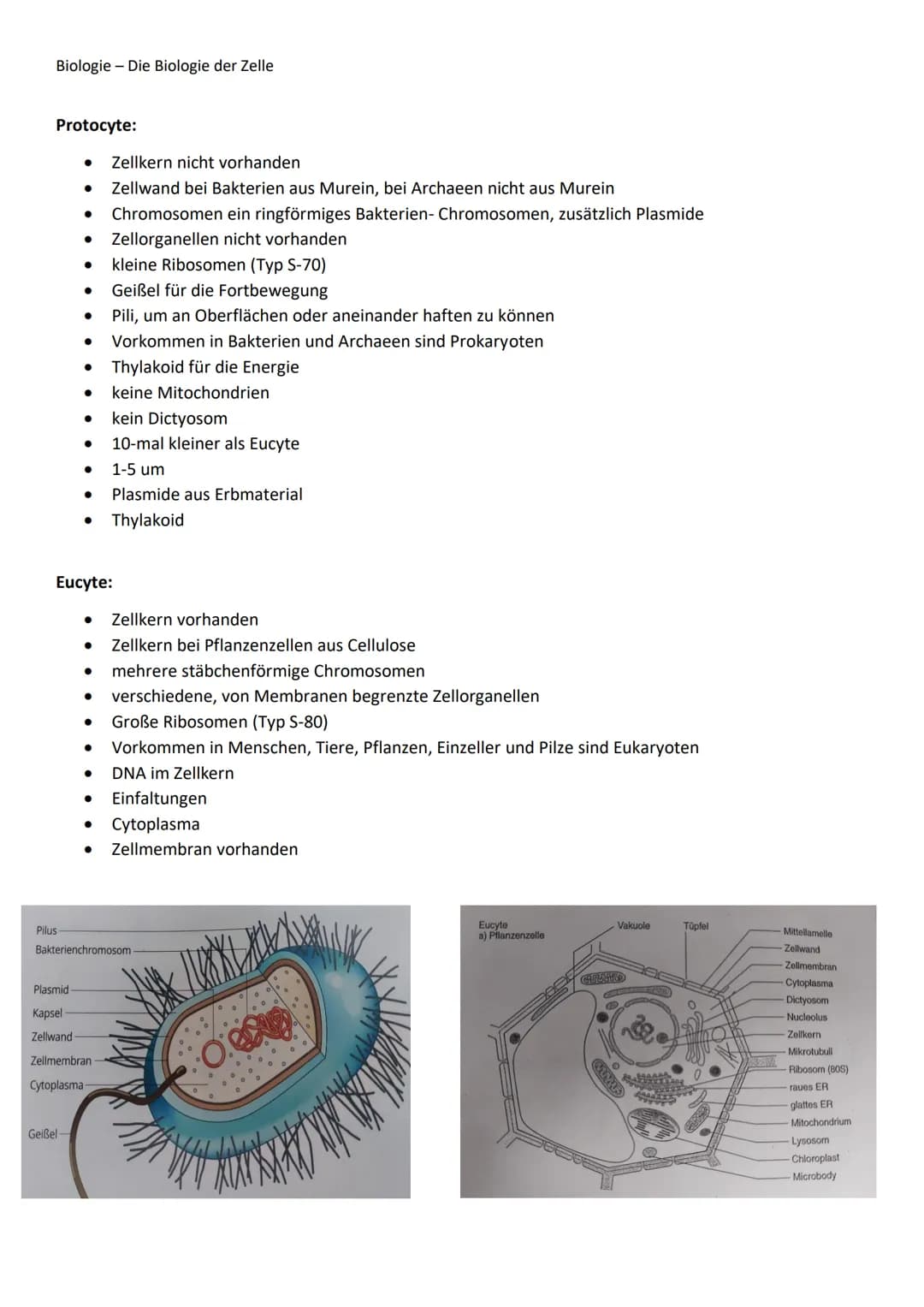 Biologie - Die Biologie der Zelle
Organisation vielzelliger Lebewesen:
Beispiel: Kronenblätter dienen der Anlockung von Tieren.
Die Zelle un