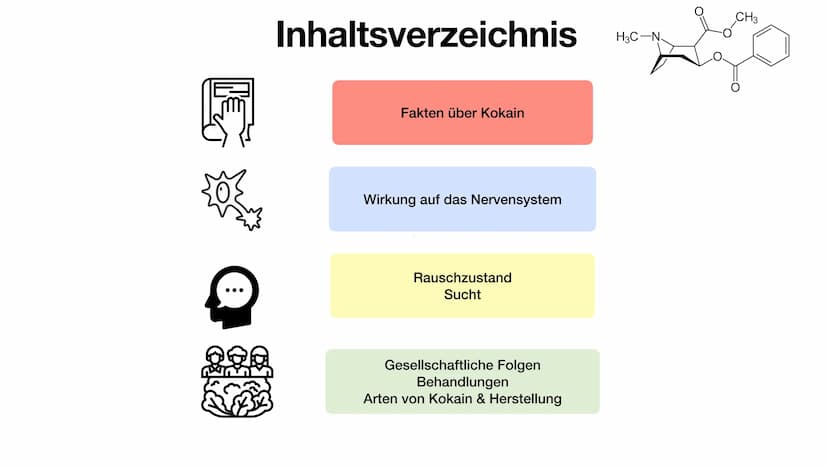 Henning Buttler und Oliver Nguyen
Kokain
H3C-N.
CH3 Inhaltsverzeichnis
Fakten über Kokain
Wirkung auf das Nervensystem
Rauschzustand
Sucht
G