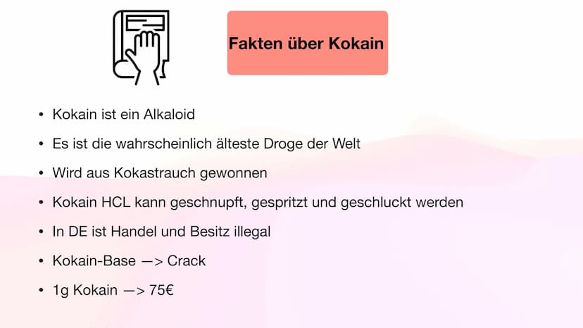Henning Buttler und Oliver Nguyen
Kokain
H3C-N.
CH3 Inhaltsverzeichnis
Fakten über Kokain
Wirkung auf das Nervensystem
Rauschzustand
Sucht
G