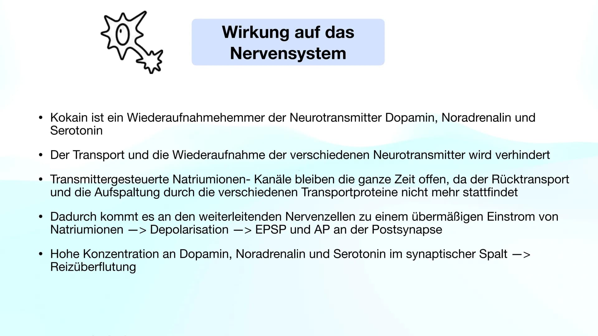 Henning Buttler und Oliver Nguyen
Kokain
H3C-N.
CH3 Inhaltsverzeichnis
Fakten über Kokain
Wirkung auf das Nervensystem
Rauschzustand
Sucht
G