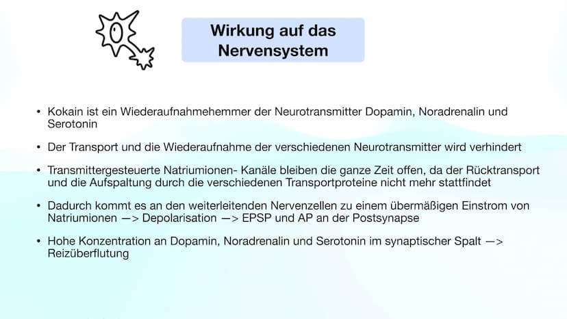 Henning Buttler und Oliver Nguyen
Kokain
H3C-N.
CH3 Inhaltsverzeichnis
Fakten über Kokain
Wirkung auf das Nervensystem
Rauschzustand
Sucht
G