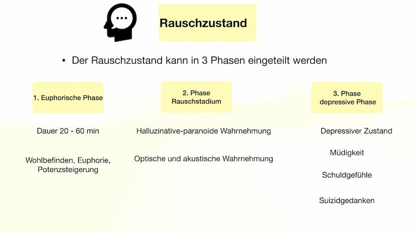 Henning Buttler und Oliver Nguyen
Kokain
H3C-N.
CH3 Inhaltsverzeichnis
Fakten über Kokain
Wirkung auf das Nervensystem
Rauschzustand
Sucht
G