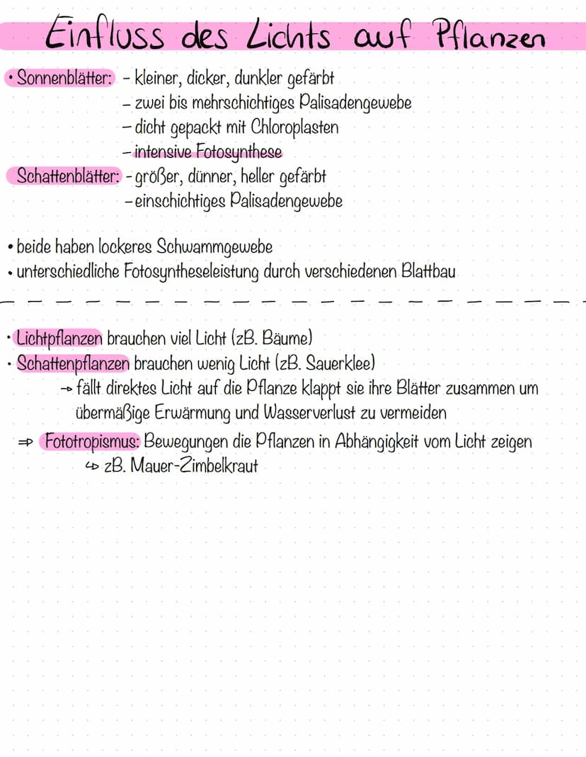 Abiotische Faktoren
1) Toleranz und Reaktionsnorm
abiotischer Umweltfaktor (gr. abios, nicht lebendig).
Toleranzkurve
4 stellt Reaktion des 