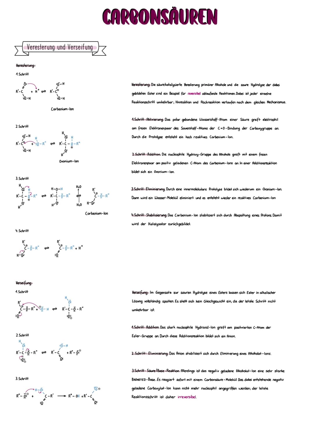 Veresterung:
1. Schritt
R'-C
Veresterung und Verseifung
12-H
2. Schritt
R-C²
H-0,
3. Schritt
4. Schritt
H-Q
R
+H* = R'-C®
H
+10-R"
-0-R²
Ver