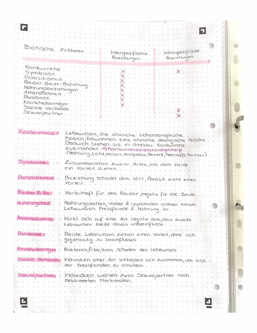 ▪ ÖKOLOGISCHE NISCHE
Gesamtheit der Beziehungen zwischen einer. Art
und ihrer Umwelt. Dabei werden, sowohl biotische
Faktoren als auch, abio