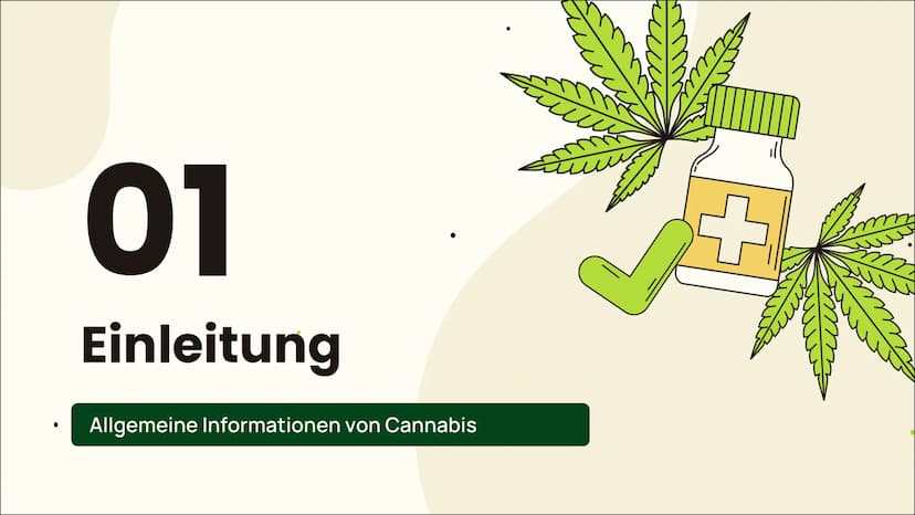m
MEDICINAL DRUG
CANNABIS
Legal als Arzneimittel?
Von Jessy, Pia und Katharina
m ہے
Einleitung 01 02 Wirkung
Grundlegende Informationen
Anba