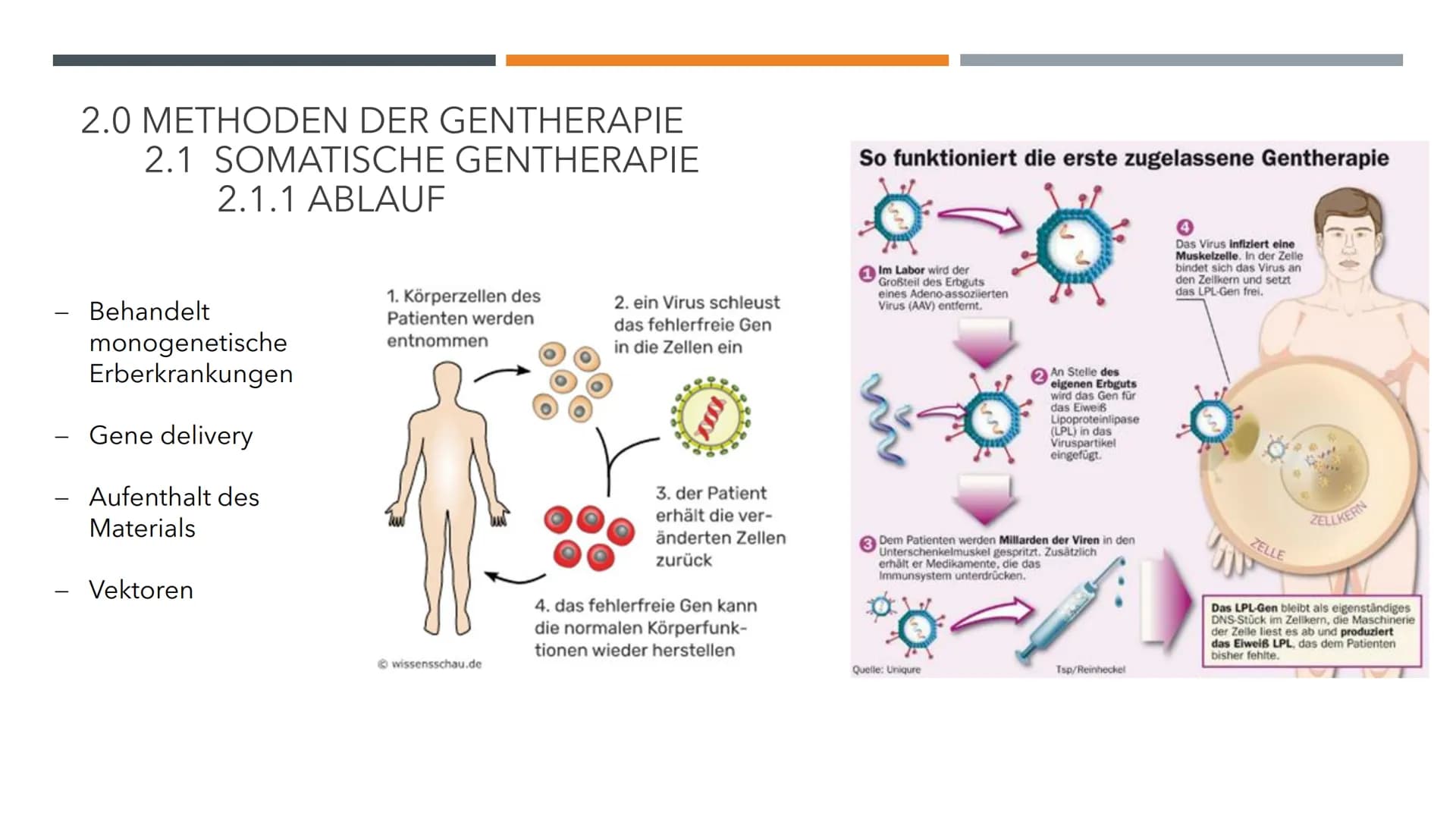 GENTHERAPIE
BIOLOGIE LK INHALTSVERZEICHNIS
1.0 Allgemeines
O
O
2.0 Methoden der Gentherapie
2.1 Somatische Gentherapie
O
O
O
1.1 Vorwissen
1