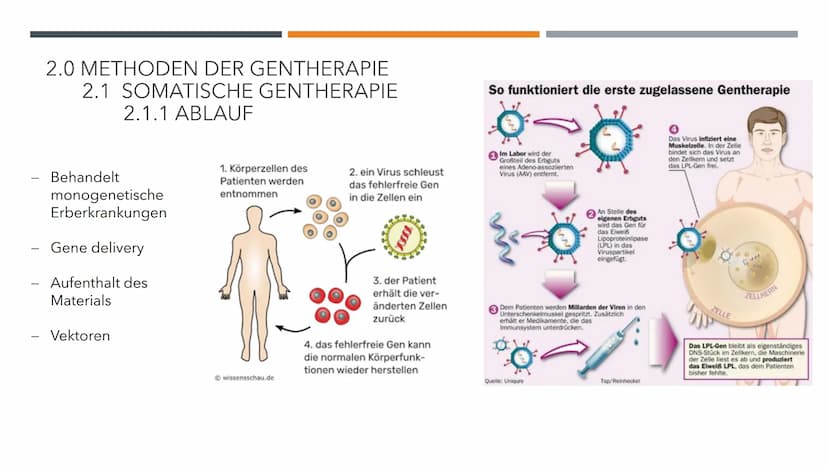 GENTHERAPIE
BIOLOGIE LK INHALTSVERZEICHNIS
1.0 Allgemeines
O
O
2.0 Methoden der Gentherapie
2.1 Somatische Gentherapie
O
O
O
1.1 Vorwissen
1