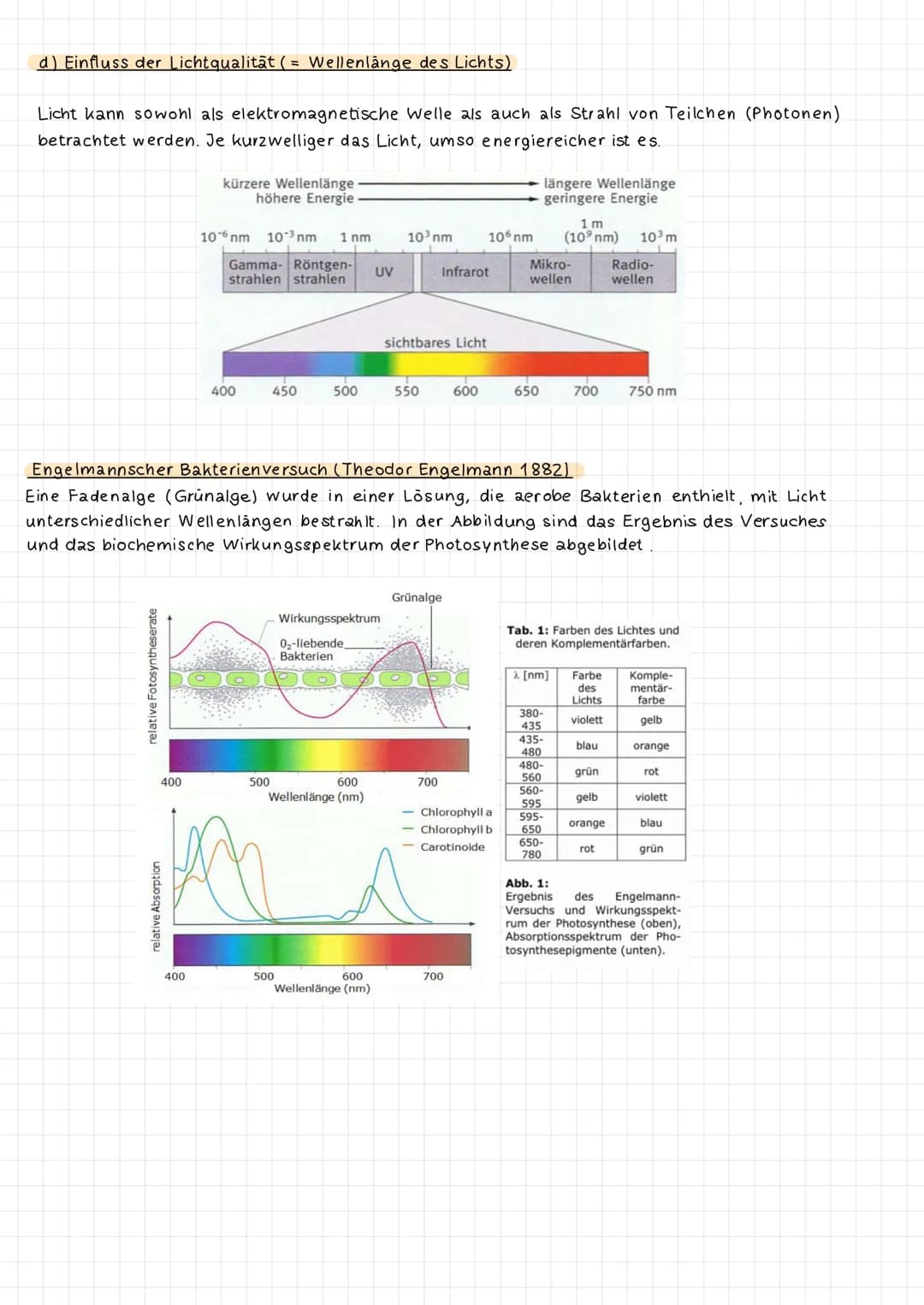 <h2 id="abhngigkeitderfotosynthesevonauenfaktoren">Abhängigkeit der Fotosynthese von Außenfaktoren</h2>
<h3 id="abhngigkeitvonderlichtintens
