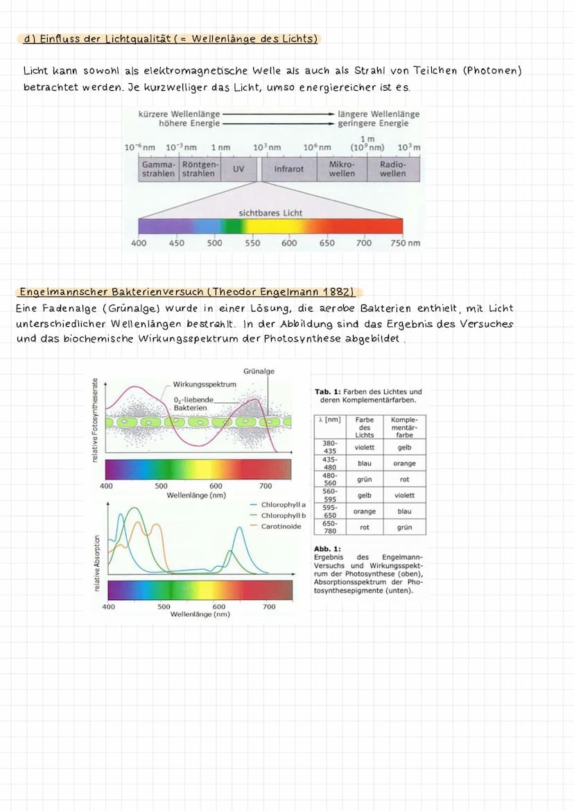 <h2 id="abhngigkeitderfotosynthesevonauenfaktoren">Abhängigkeit der Fotosynthese von Außenfaktoren</h2>
<h3 id="abhngigkeitvonderlichtintens