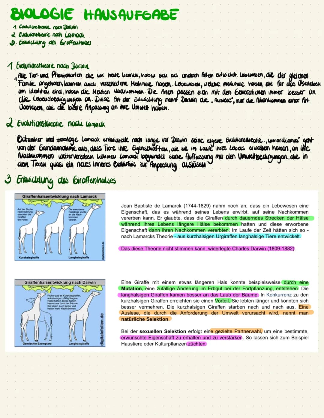 BIOLOGIE HAUSAUFGABE
1. Evolutions theorie noch Darwin
2. Evolutionstheorie nach Lamack
3. Entwicklung des Giraffenhalses
1. Evolutionstheor