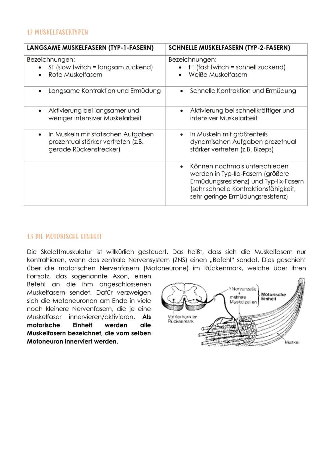Sport Lernzettel
MODUL 0: WAS IST FITNESS?
FITNESS
Fitness beschreibt einen Zustand, der die körperliche Leistungsfähigkeit bzw. die Entwick