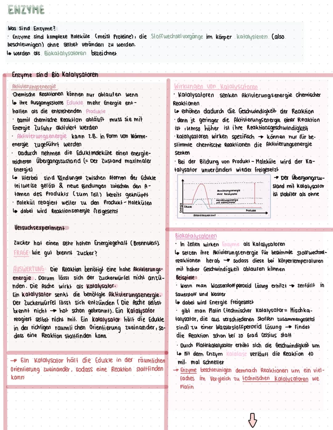 ENZYME
Was sind Enzyme?
• Enzyme sind komplexe Moleküle (meist Proteine), die Stoffwechsel vorgänge im körper katalysieren. (also.
beschleun