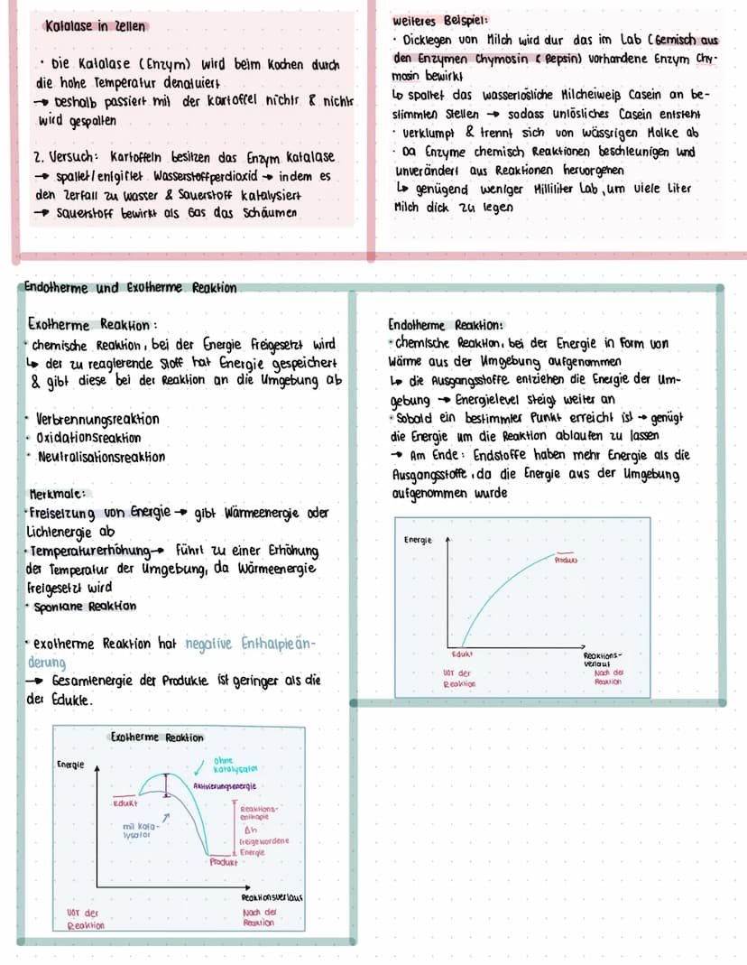 ENZYME
Was sind Enzyme?
• Enzyme sind komplexe Moleküle (meist Proteine), die Stoffwechsel vorgänge im körper katalysieren. (also.
beschleun