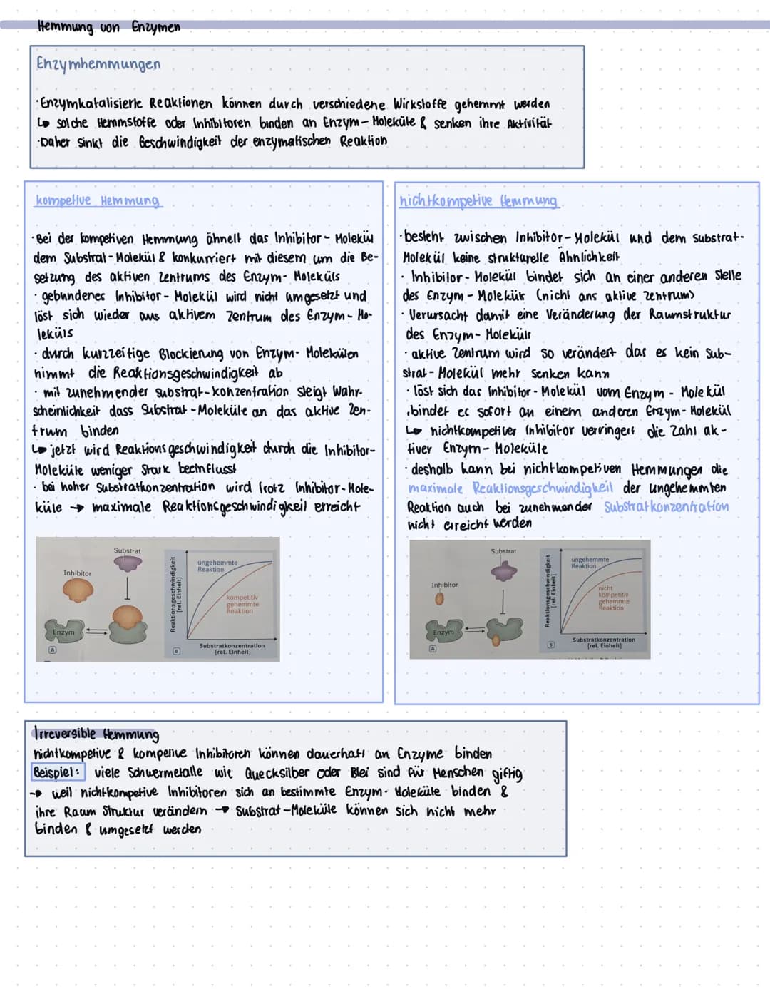 ENZYME
Was sind Enzyme?
• Enzyme sind komplexe Moleküle (meist Proteine), die Stoffwechsel vorgänge im körper katalysieren. (also.
beschleun