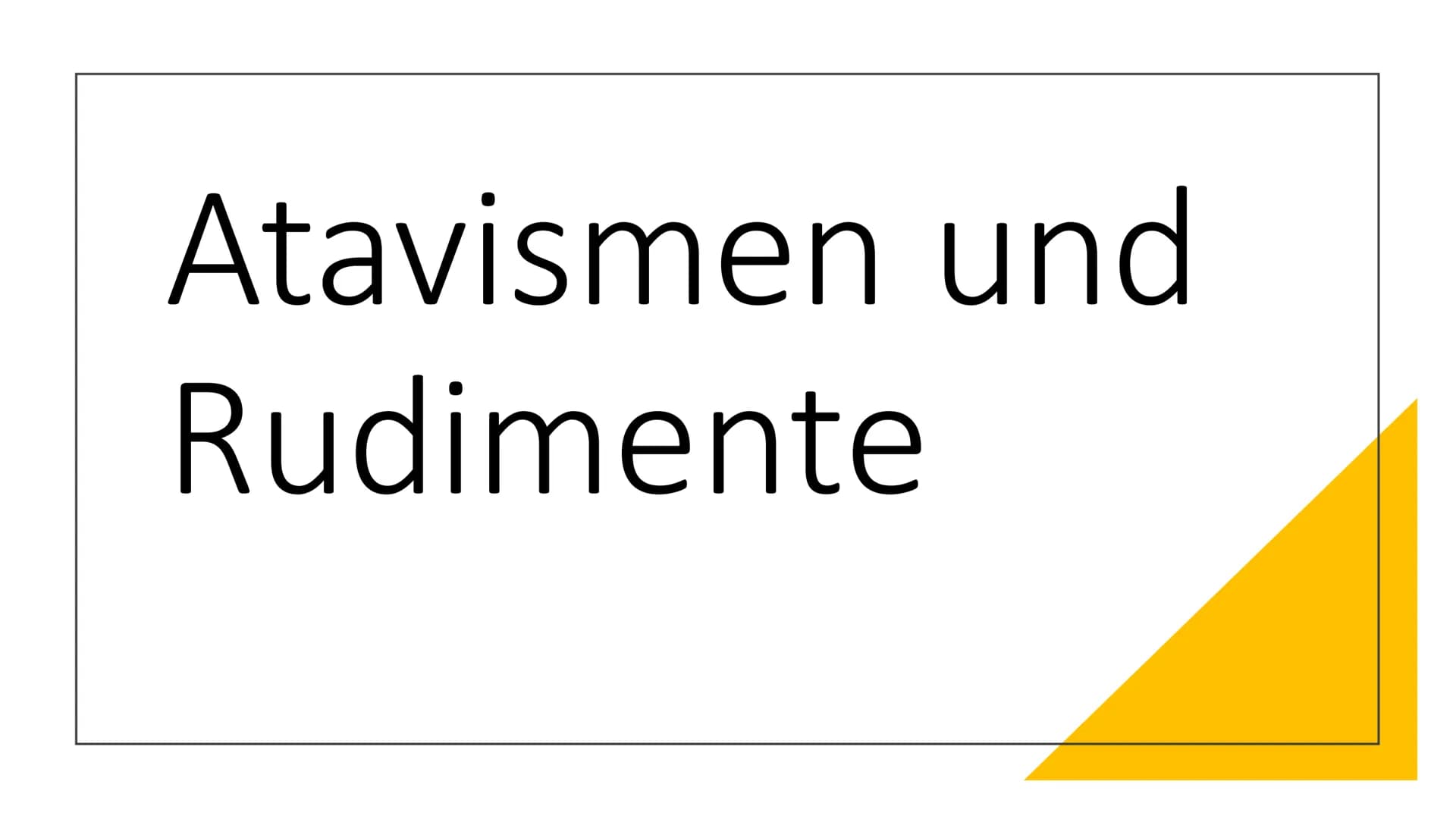 Atavismen und
Rudimente Inhaltsverzeichnis
●
• 2. Rudimente (Organrudimente)
2.1 Definiton Rudimente
1. Atavismus
1.1 Defintion Atavismus
1.