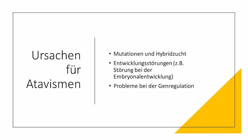 Atavismen und
Rudimente Inhaltsverzeichnis
●
• 2. Rudimente (Organrudimente)
2.1 Definiton Rudimente
1. Atavismus
1.1 Defintion Atavismus
1.