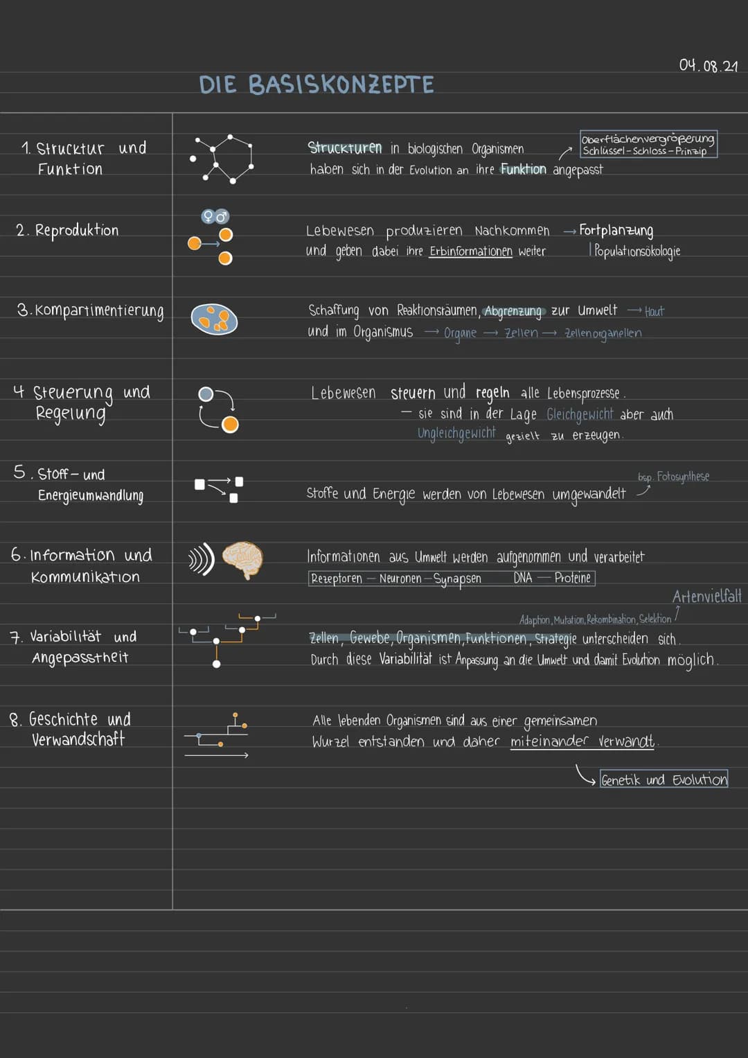 1. Strucktur und
Funktion
2. Reproduktion
3. Kompartimentierung
4 Steuerung und
Regelung
5. Stoff- und
Energieumwandlung
6. Information und

