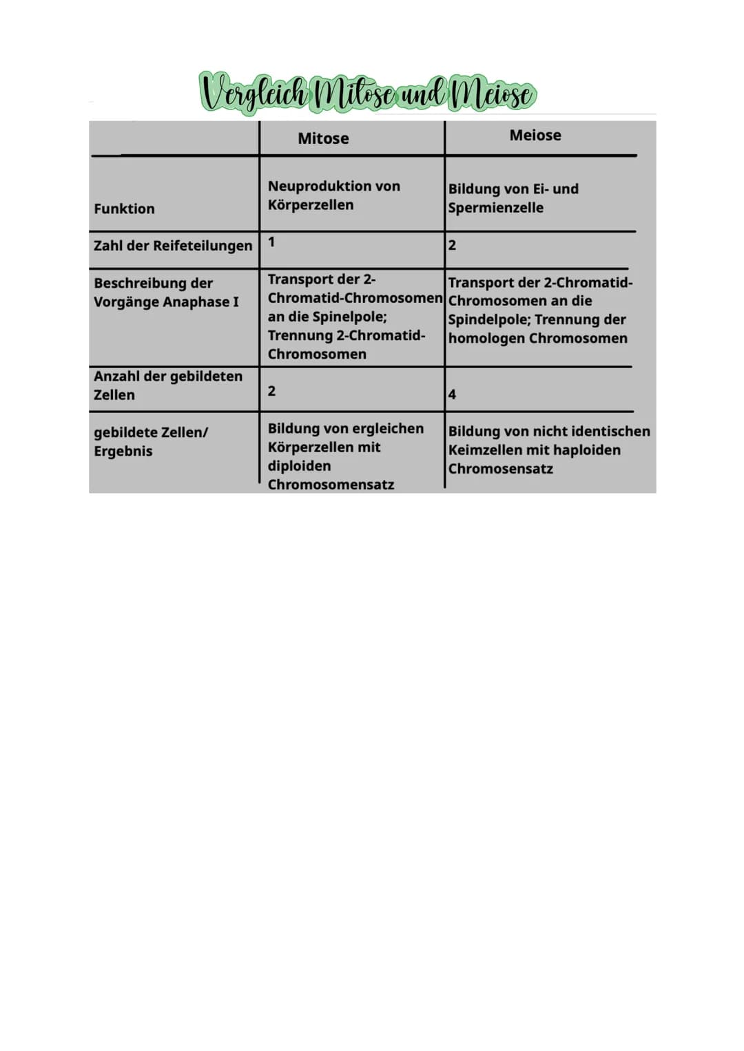 Aufbau der Felle
die Zelle. Durch diese Mem
and Zeug
Dasma de
delauto
Stoffwech
Die Mitochondrien sind die
Na
sie Energie für die Ze
Tierzel