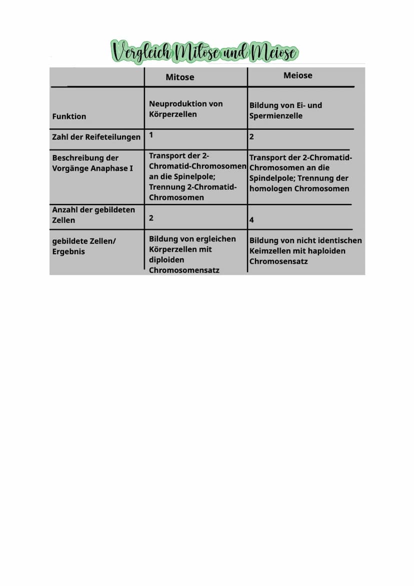Aufbau der Felle
die Zelle. Durch diese Mem
and Zeug
Dasma de
delauto
Stoffwech
Die Mitochondrien sind die
Na
sie Energie für die Ze
Tierzel
