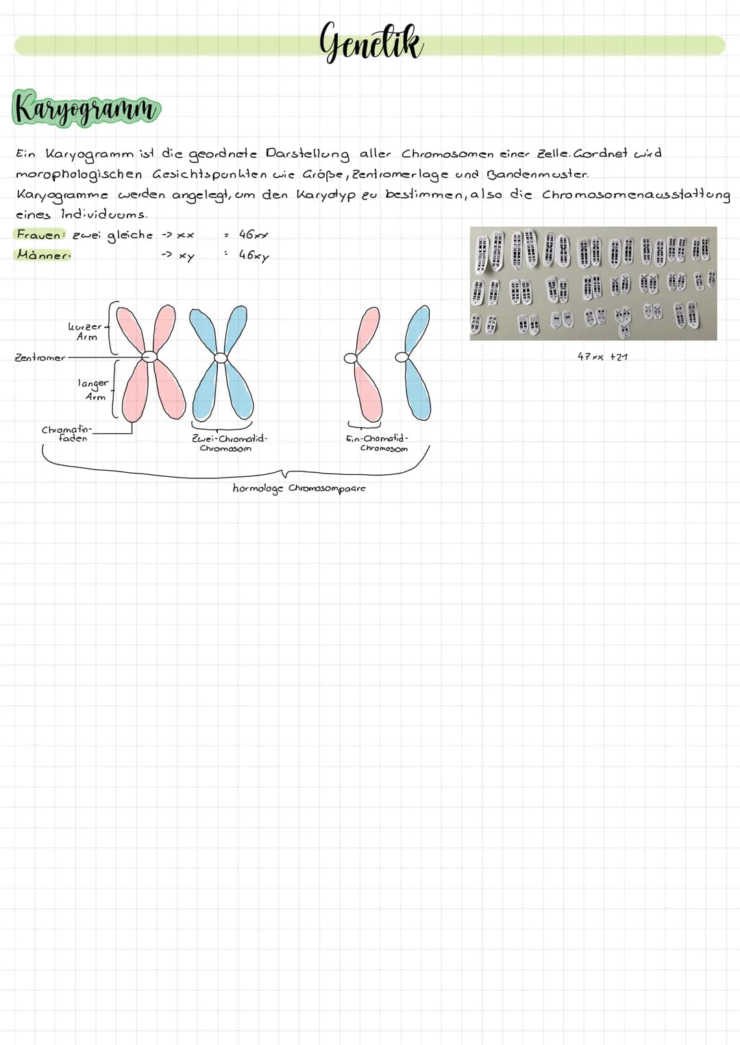 Aufbau der Felle
die Zelle. Durch diese Mem
and Zeug
Dasma de
delauto
Stoffwech
Die Mitochondrien sind die
Na
sie Energie für die Ze
Tierzel