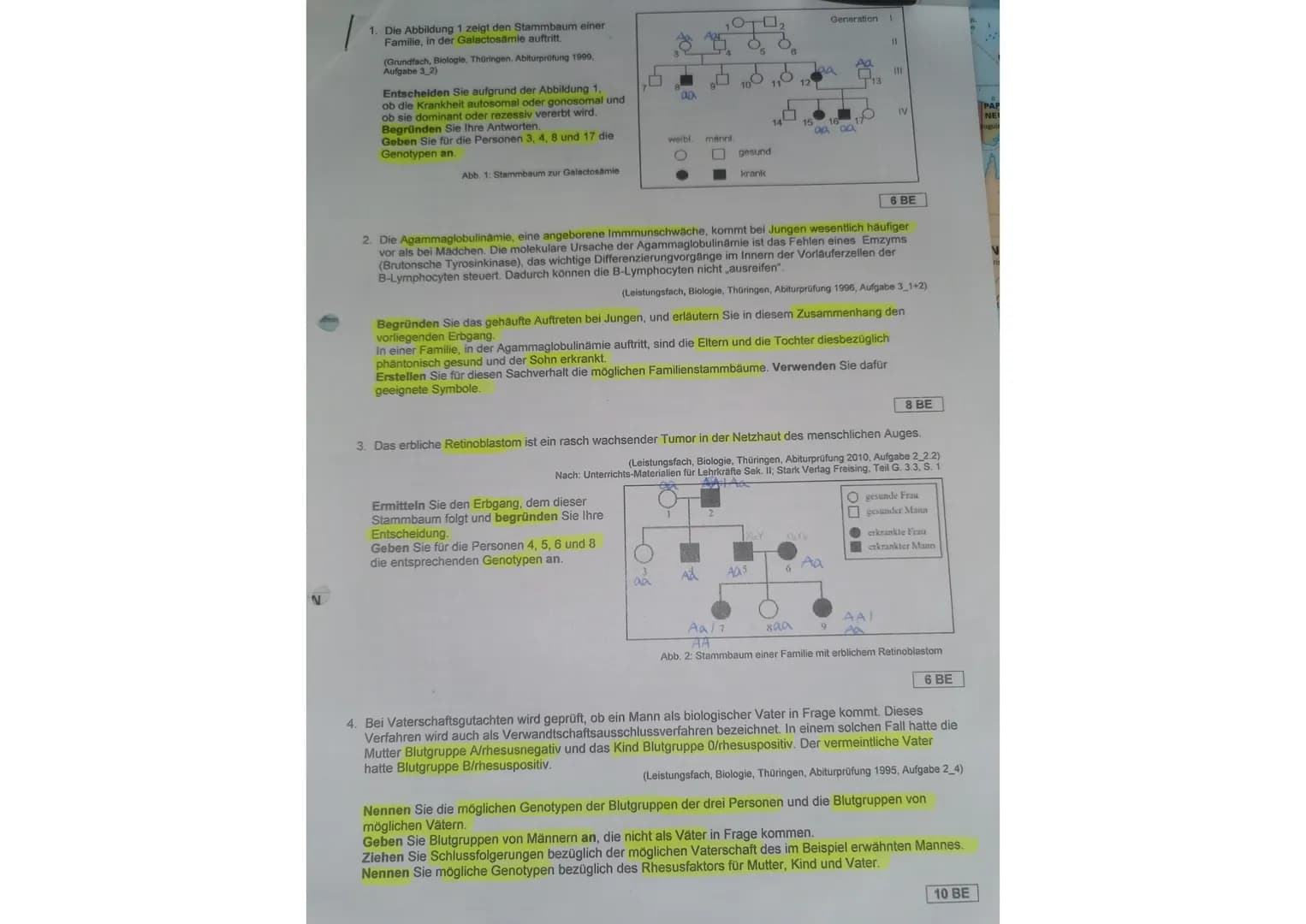 N
l
1. Die Abbildung 1 zeigt den Stammbaum einer
Familie, in der Galactosämie auftritt.
(Grundfach, Biologie, Thüringen, Abiturprüfung 1999,