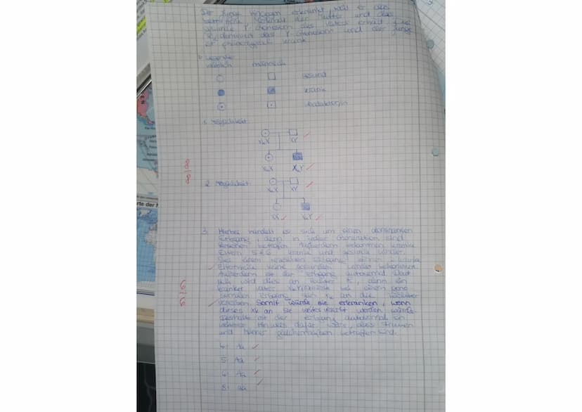N
l
1. Die Abbildung 1 zeigt den Stammbaum einer
Familie, in der Galactosämie auftritt.
(Grundfach, Biologie, Thüringen, Abiturprüfung 1999,