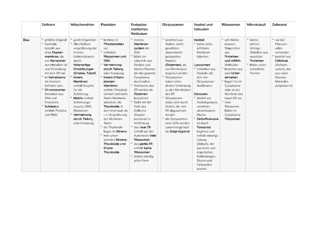 Zytologie/ Zell Organellen - Aufbau - Funktion 