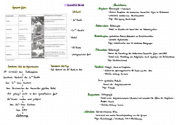 Know Synapsengifte, Neurotoxine  thumbnail