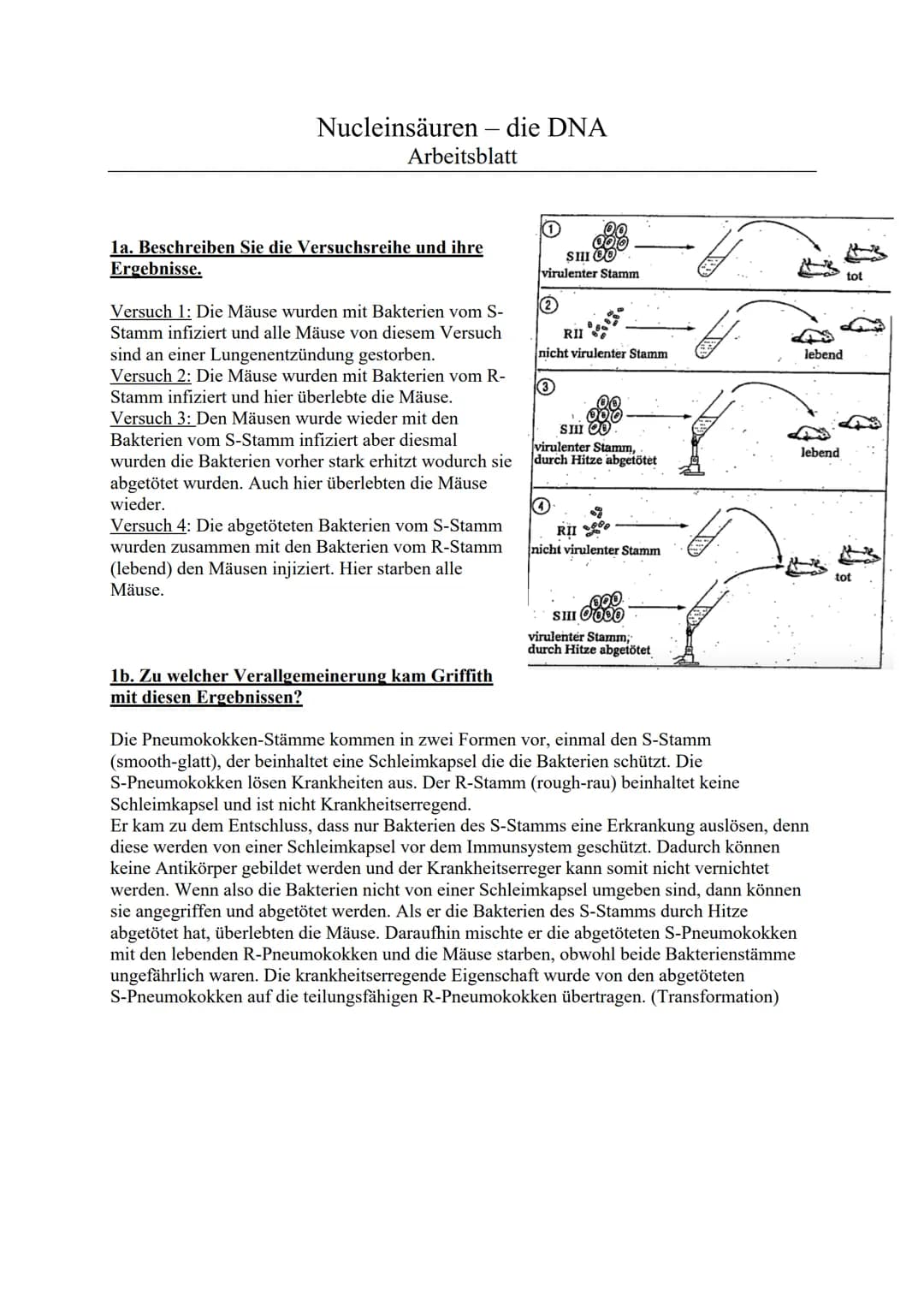 Nucleinsäuren - die DNA
Arbeitsblatt
1a. Beschreiben Sie die Versuchsreihe und ihre
Ergebnisse.
Versuch 1: Die Mäuse wurden mit Bakterien vo