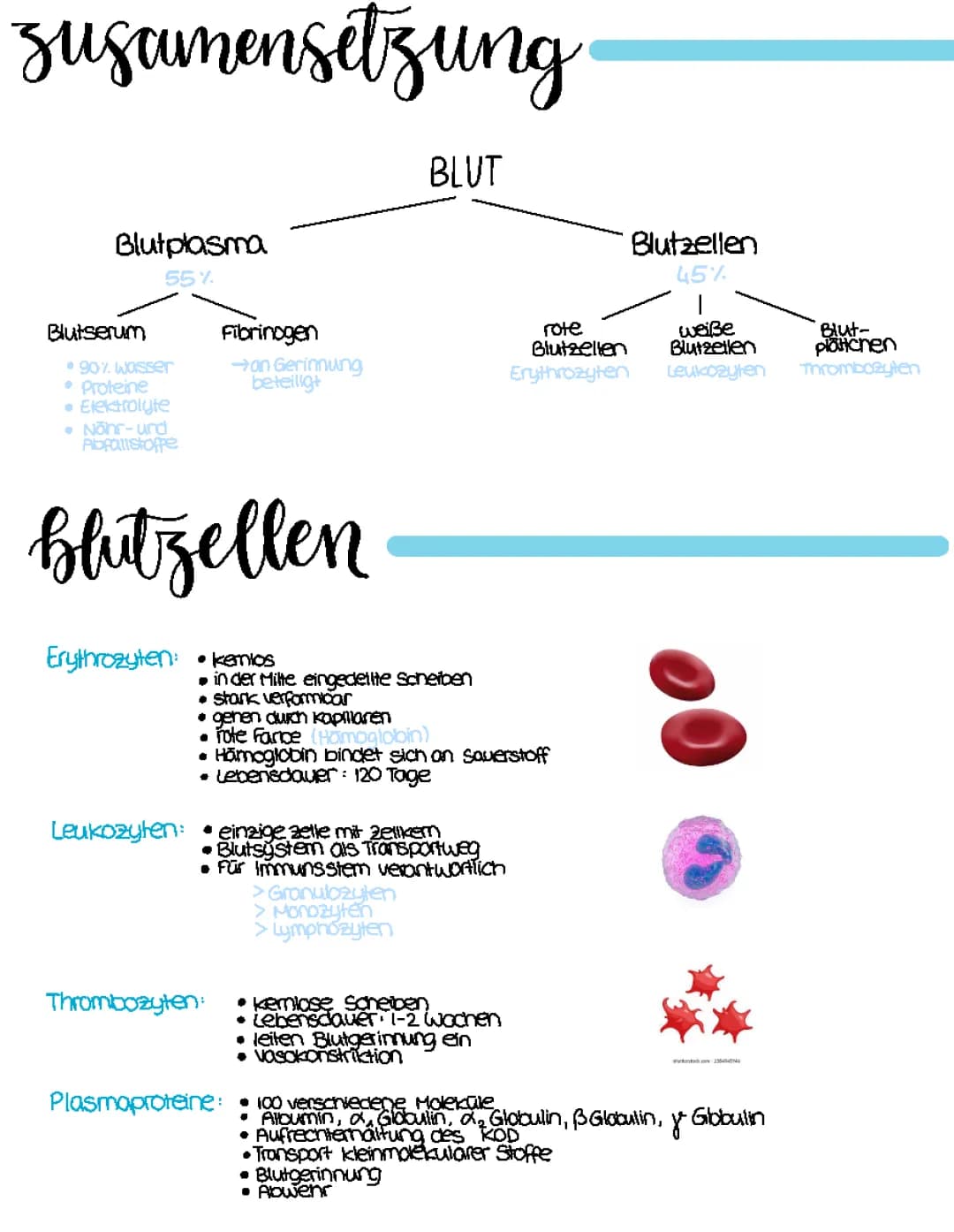 Blut