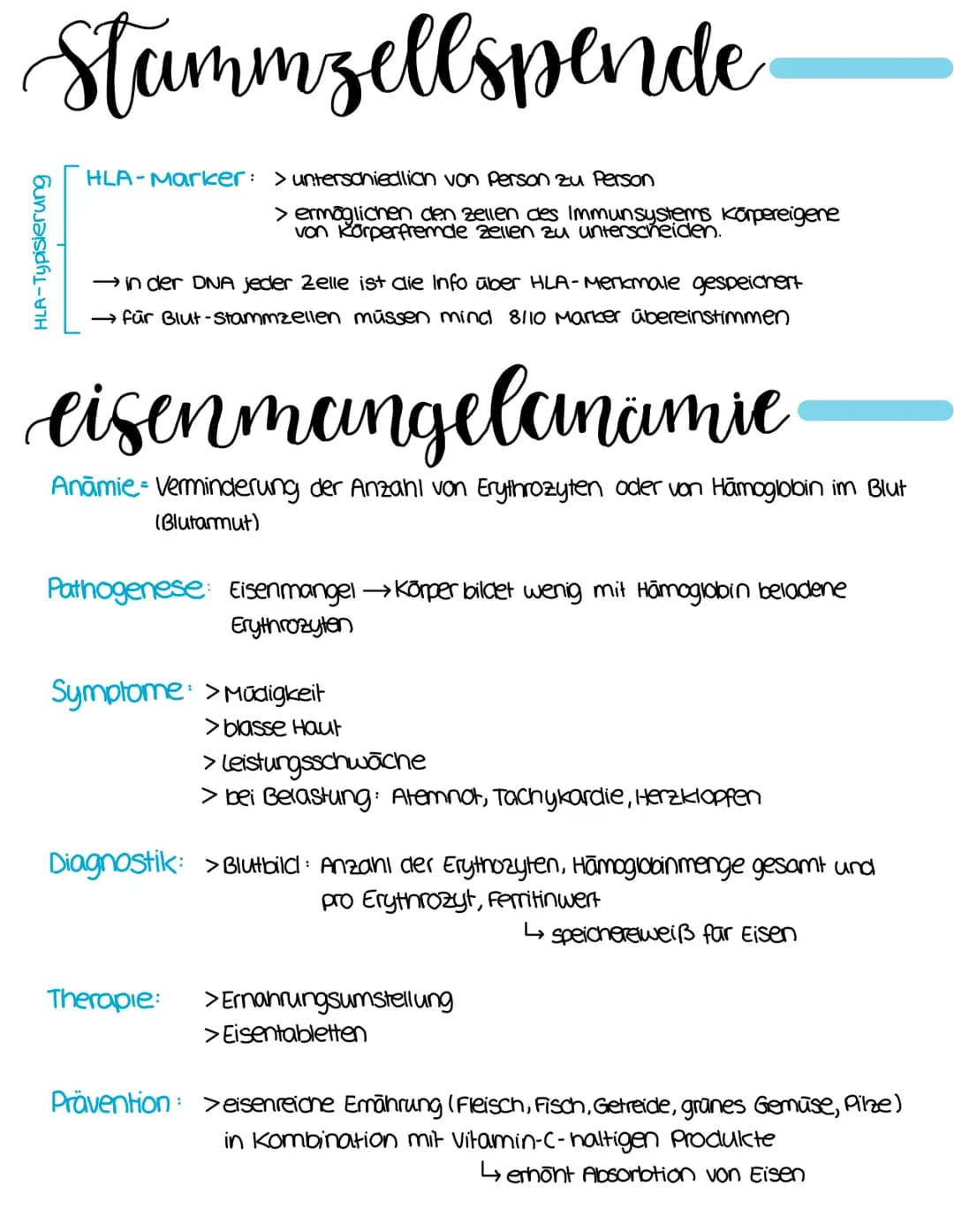 susamensetzung
Blutplasma
55%
Blutserum
• 90% Wasser
• Proteine
• Elektrolyte
• Nahr-und
Abfallstoffe
blutzellen
Erythrozyten:
Fibrinogen
→a