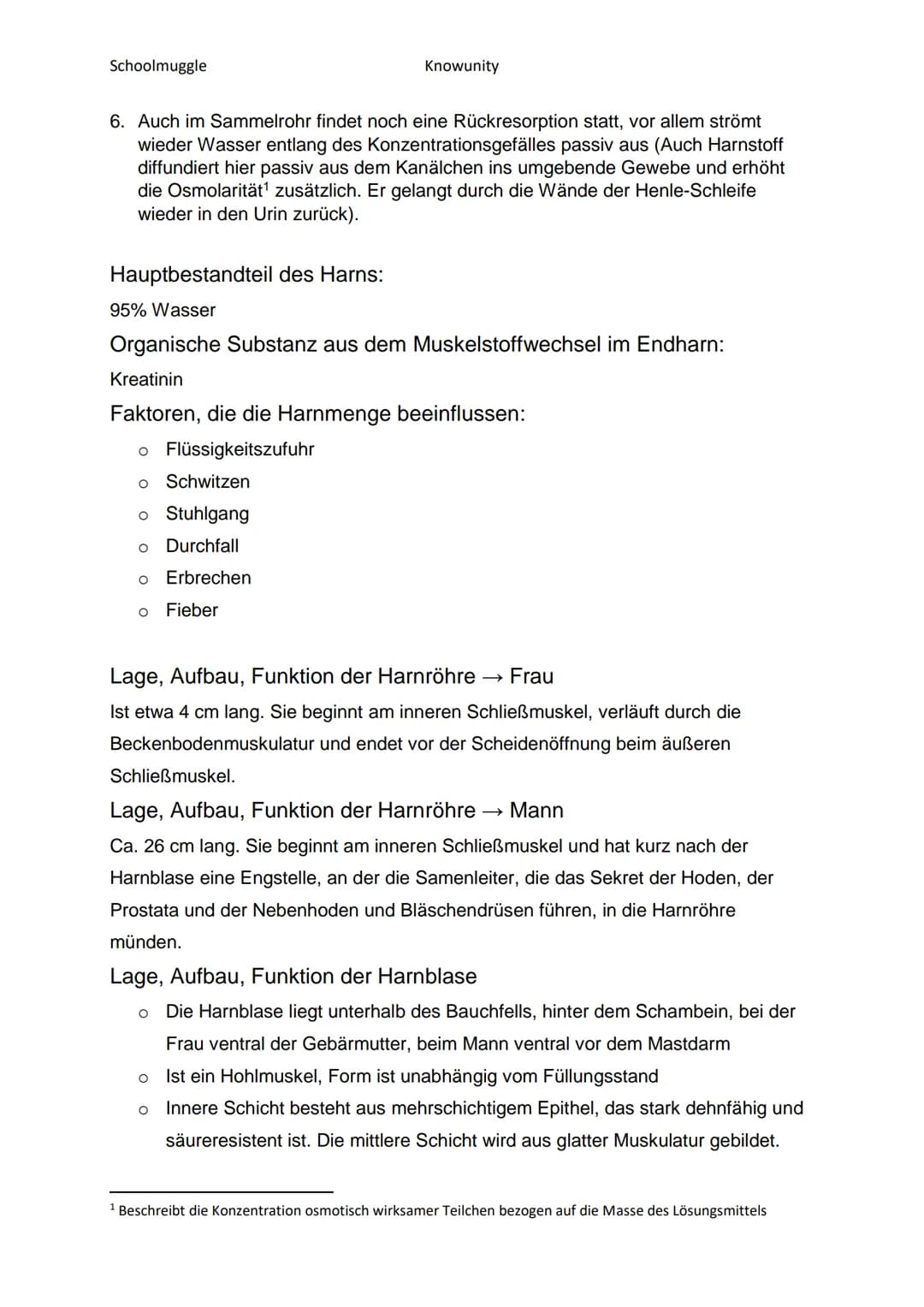 Schoolmuggle
●
Das Harnsystem - Die Niere
Nierenkapsel
Nierenrinde
Markpyramide
Sammelrohr
von der Aorta
A renalis
V. renalis
zur V. cava in