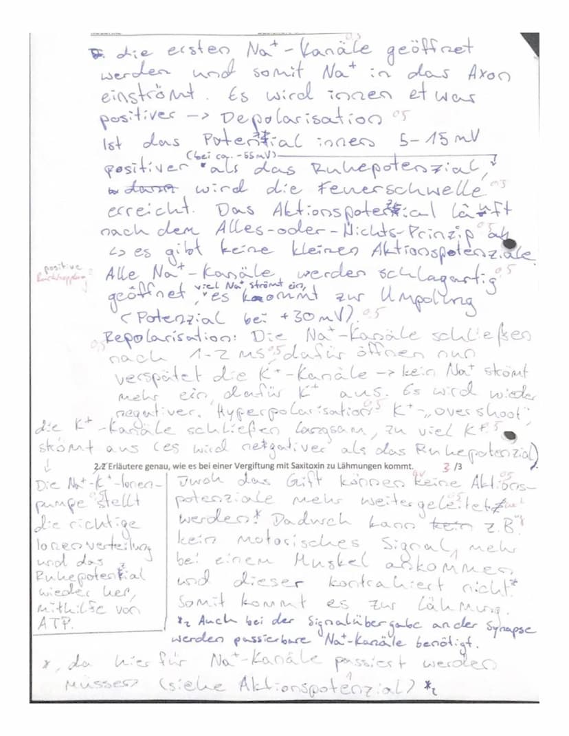 Name:
Jacqueline
Viel Erfolg! Genauigkeit und Fachsprache!!!
Aufgabe
Definiere folgende zwei Begriffe:
XX Eigenreflex: Die
-reaktion
WY
Orga