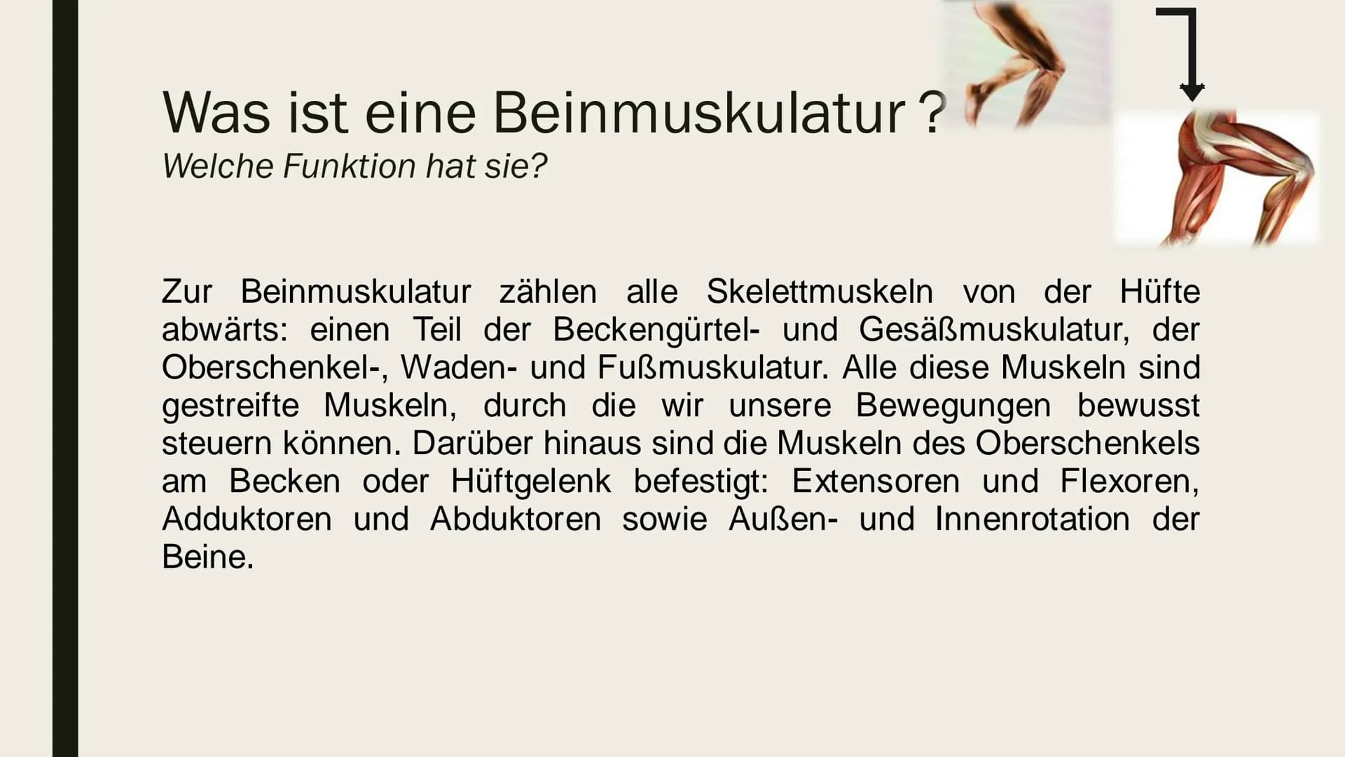 BEINMUSKULATUR
PowerPoint Inhalt
■ Was ist eine Beinmuskulatur
Welche Funktion hat sie
■ Beinmuskulatur im Alltag
Wie wichtig ist die Beinmu