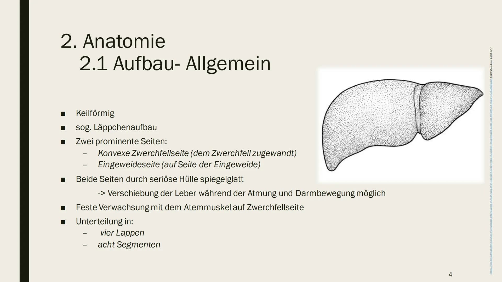 DIE LEBER Gliederung
1.
Übersicht
2. Anatomie
2.1 Aufbau
2.2 Lage
3. Leber und Blutkreislauf
4.
Hauptfunktionen
4.1 Synthese
4.2 Stoffwechse