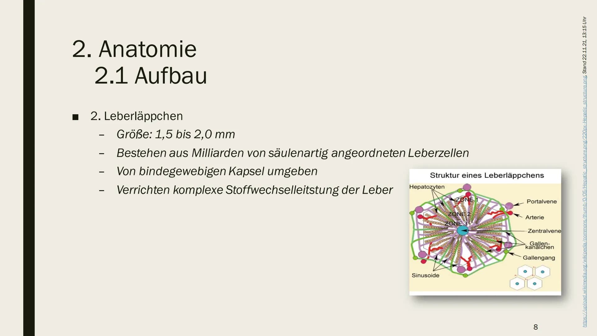 DIE LEBER Gliederung
1.
Übersicht
2. Anatomie
2.1 Aufbau
2.2 Lage
3. Leber und Blutkreislauf
4.
Hauptfunktionen
4.1 Synthese
4.2 Stoffwechse