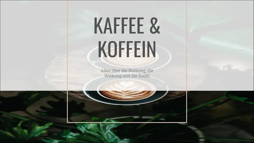 Kaffee & Koffein PPP